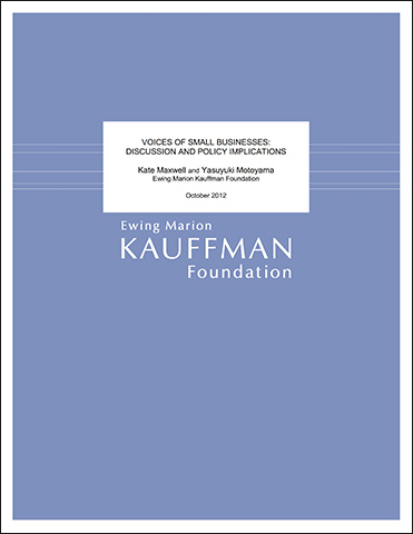 Voices of Small Businesses: Discussion and Policy Implications