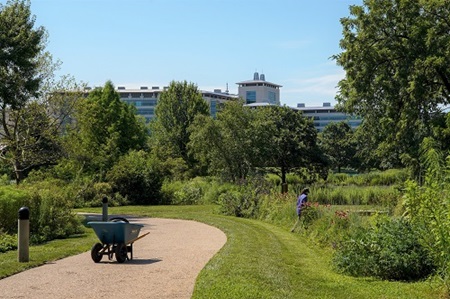 Kauffman Legacy Garden