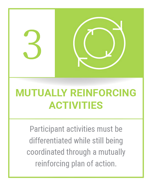 Conditions of Collective Impact #3: Mutually Reinforcing Activities