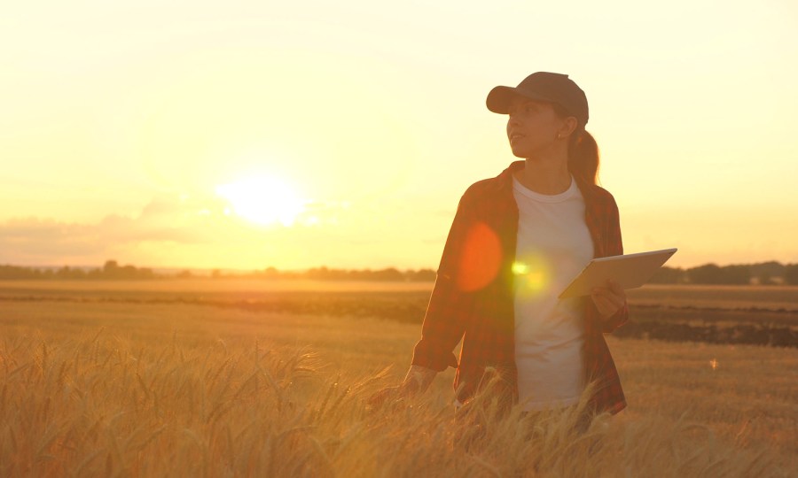 A person wearing a hat and holding a tablet stands in a farm field during golden hour.