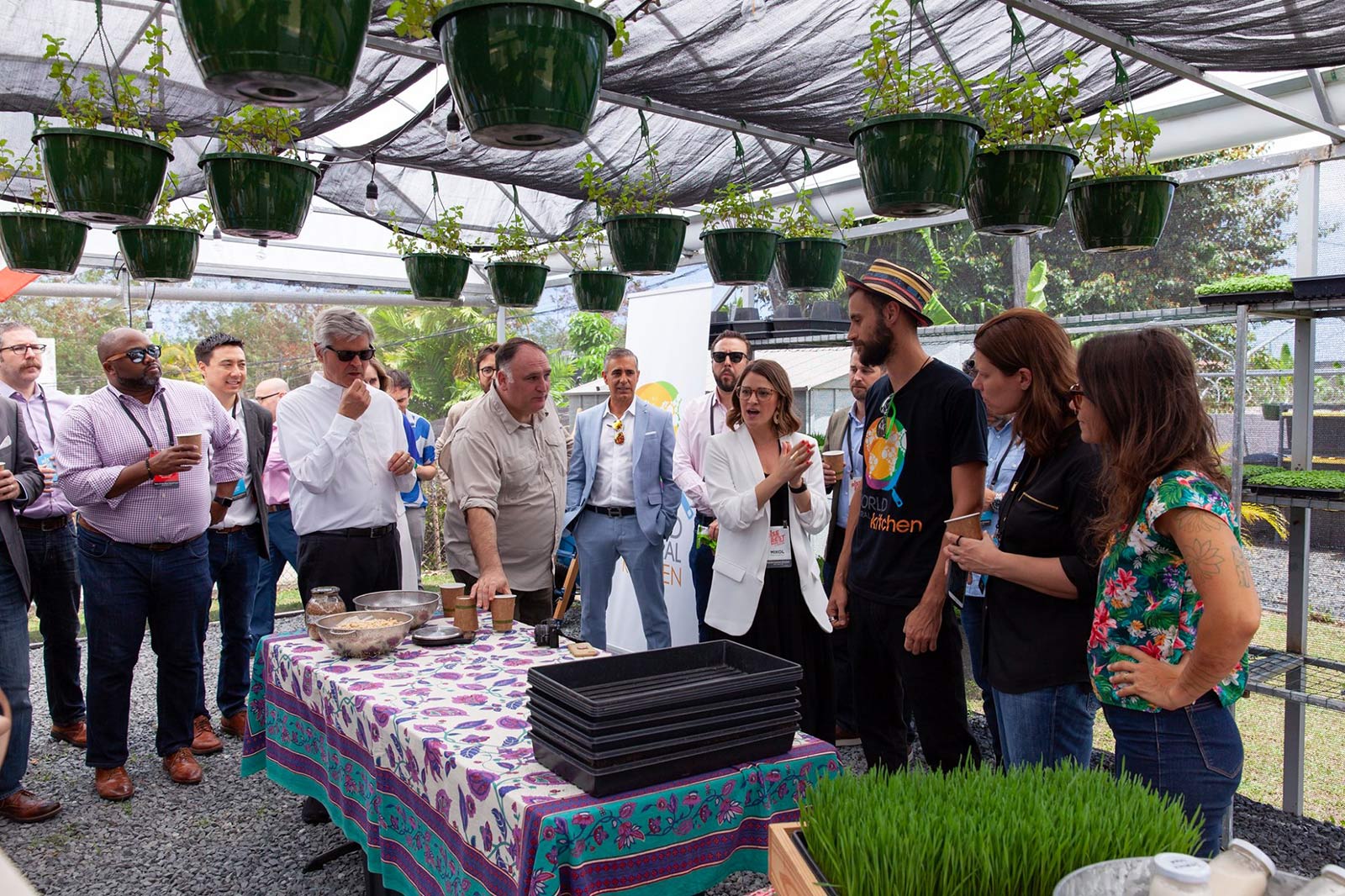 A group of people gather around a table inside a greenhouse.